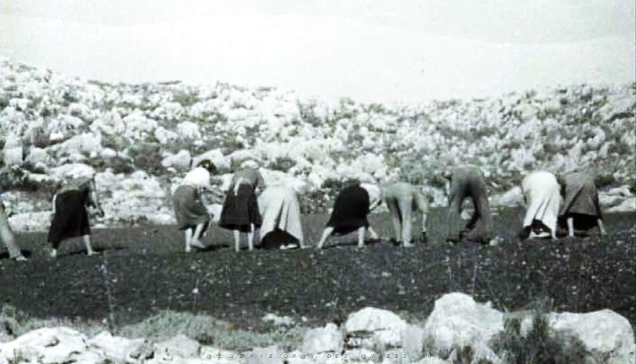 VALENCIENS EN ALGERIE 058.jpg